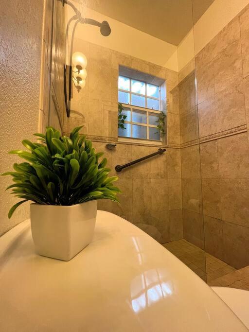 Cozy 1-Bedroom Rental In ميامي المظهر الخارجي الصورة